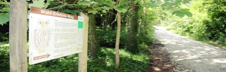 Wald-Erlebnis-Weg Burgau Beschreibungsschild 